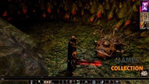 Neverwinter Nights: Enhanced Edition 