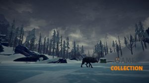 The Long Dark (PS4)