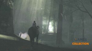 Ico and Shadow of the Colossus Collection (PS3)
