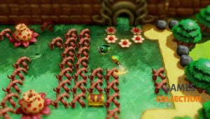The Legend of Zelda