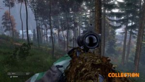 DayZ  (PS4)