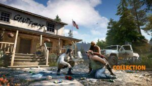 Far Cry 5 (PS4)